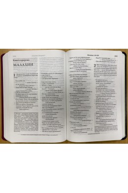 Библия в современном русском переводе.